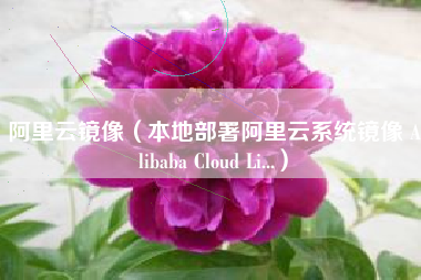 阿里云镜像（本地部署阿里云系统镜像 Alibaba Cloud Li...）