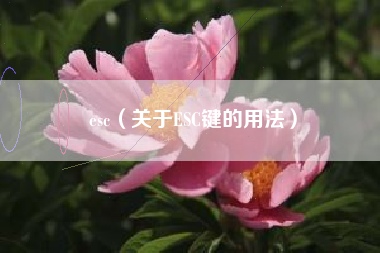 esc（关于ESC键的用法）