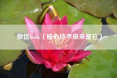 微信hook（核心技术原来是它）