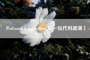 ProGuard(SpringBoot 玩一玩代码混淆)