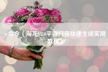 sc命令（海龙V3.0平面门窗快速生成实用教程）