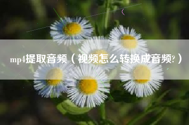 mp4提取音频（视频怎么转换成音频?）