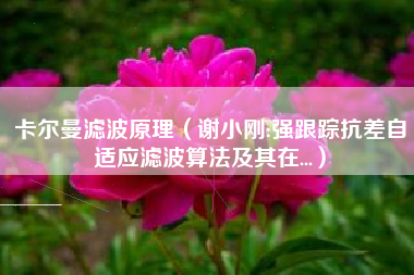 卡尔曼滤波原理（谢小刚:强跟踪抗差自适应滤波算法及其在...）