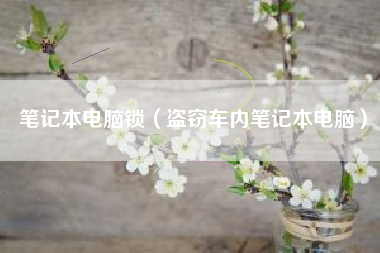 笔记本电脑锁（盗窃车内笔记本电脑）