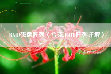 RAID磁盘阵列（兮克:RAID阵列详解）