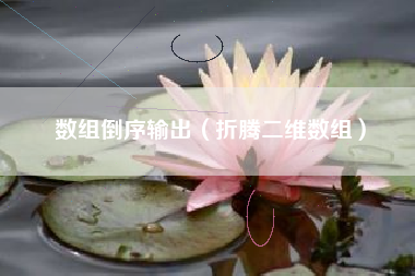 数组倒序输出(折腾二维数组)