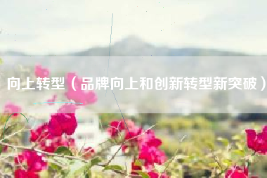 向上转型（品牌向上和创新转型新突破）