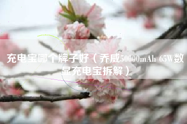 充电宝哪个牌子好(乔威50000mAh 65W数显充电宝拆解)