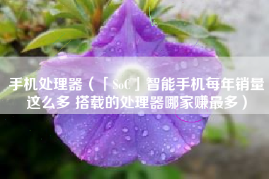 手机处理器（「SoC」智能手机每年销量这么多 搭载的处理器哪家赚最多）