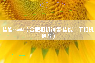 佳能eos60d（合肥相机销售:佳能二手相机推荐）