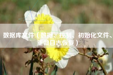 数据库文件（数据、控制、初始化文件、重做日志恢复）