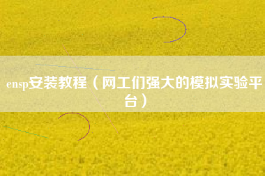 ensp安装教程（网工们强大的模拟实验平台）