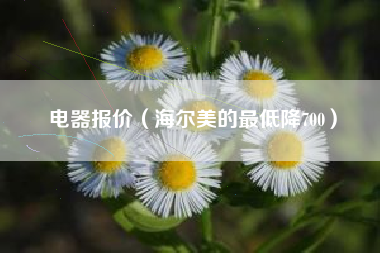 电器报价（海尔美的最低降700）