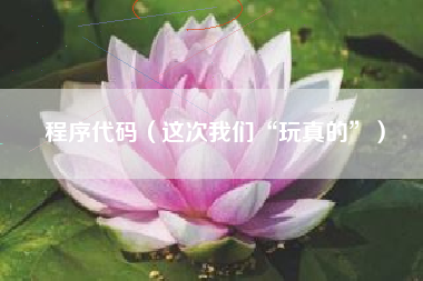 程序代码（这次我们“玩真的”）