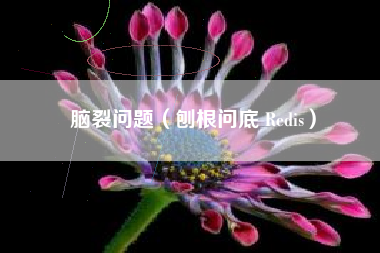脑裂问题（刨根问底 Redis）