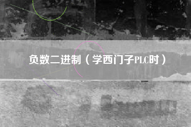 负数二进制（学西门子PLC时）