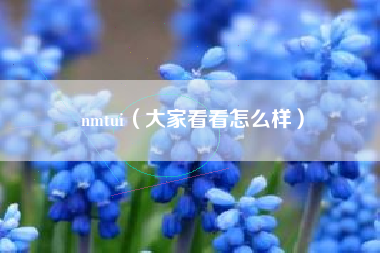 nmtui(大家看看怎么样)