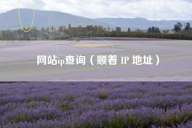 网站ip查询（顺着 IP 地址）