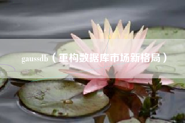 gaussdb（重构数据库市场新格局）