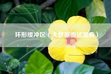 环形缓冲区(大数据面试宝典)