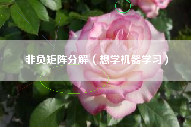 非负矩阵分解（想学机器学习）