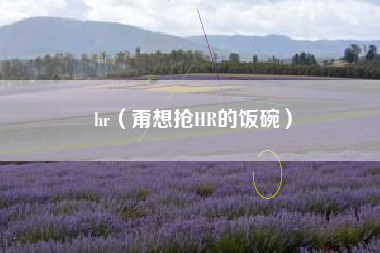 hr（甭想抢HR的饭碗）