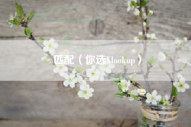 匹配（你选Xlookup）