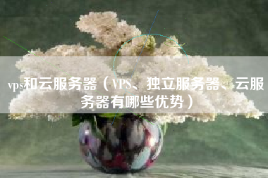 vps和云服务器(VPS、独立服务器、云服务器有哪些优势)