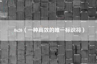 0x20(一种高效的唯一标识符)