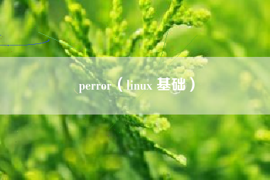 perror（linux 基础）