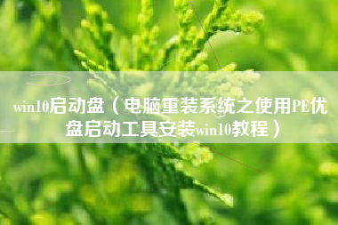 win10启动盘（电脑重装系统之使用PE优盘启动工具安装win10教程）