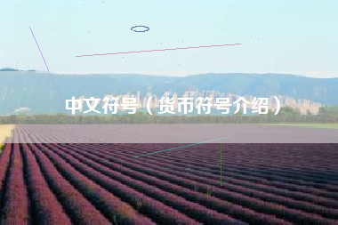 中文符号(货币符号介绍)