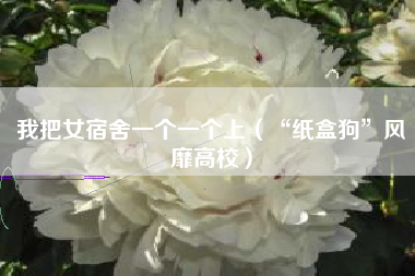 详细阅读:我把女宿舍一个一个上(“纸盒狗”风靡高校) 我把女宿舍一个一个上(“纸盒狗”风靡高校)