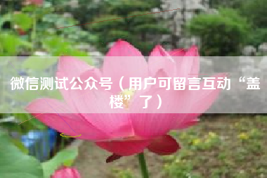 微信测试公众号（用户可留言互动“盖楼”了）