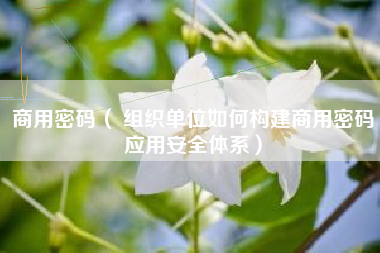 商用密码( 组织单位如何构建商用密码应用安全体系)