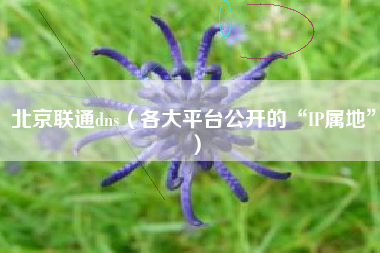 北京联通dns（各大平台公开的“IP属地”）