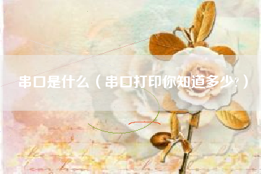 串口是什么(串口打印你知道多少?)
