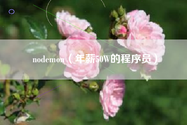 nodemon(年薪50W的程序员)