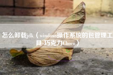 怎么卸载jdk(windows操作系统的包管理工具-巧克力Choco)