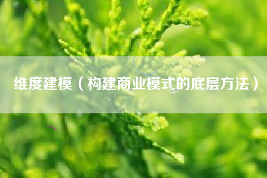 维度建模(构建商业模式的底层方法)