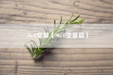 shell变量（Shell变量篇）