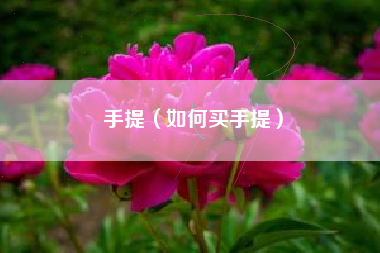 手提（如何买手提）