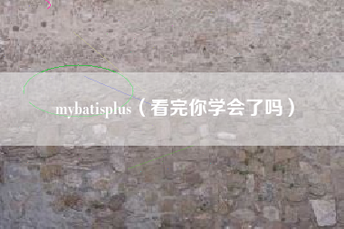 mybatisplus（看完你学会了吗）