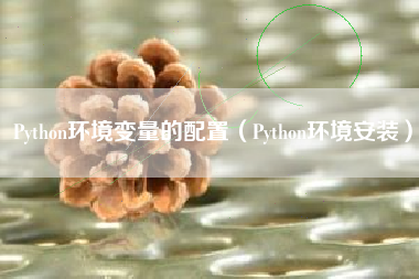 Python环境变量的配置（Python环境安装）