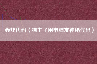 轰炸代码（猫主子用电脑发神秘代码）