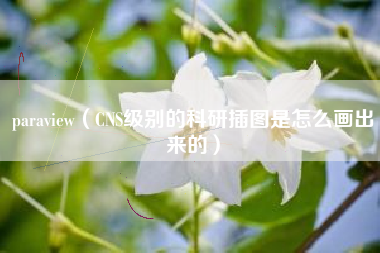 paraview（CNS级别的科研插图是怎么画出来的）