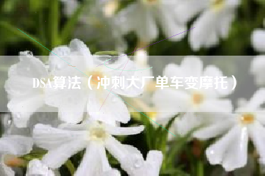 DSA算法（冲刺大厂单车变摩托）