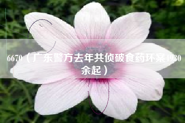 6670(广东警方去年共侦破食药环案4930余起)