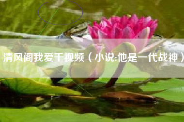 清风阁我爱干视频(小说:他是一代战神)
