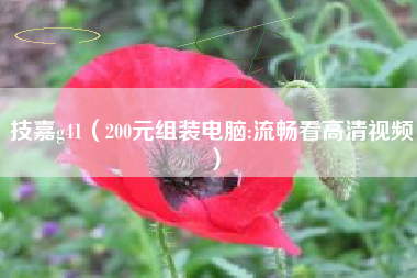 技嘉g41（200元组装电脑:流畅看高清视频）